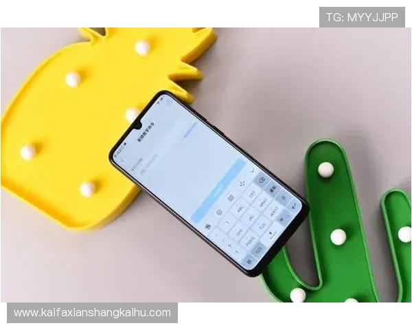 全面解析K8旗舰网址安全性与稳定性，保障玩家账号安全与游戏顺畅